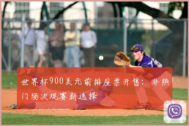 世界杯900美元前排座票开售：非热门场次观赛新选择