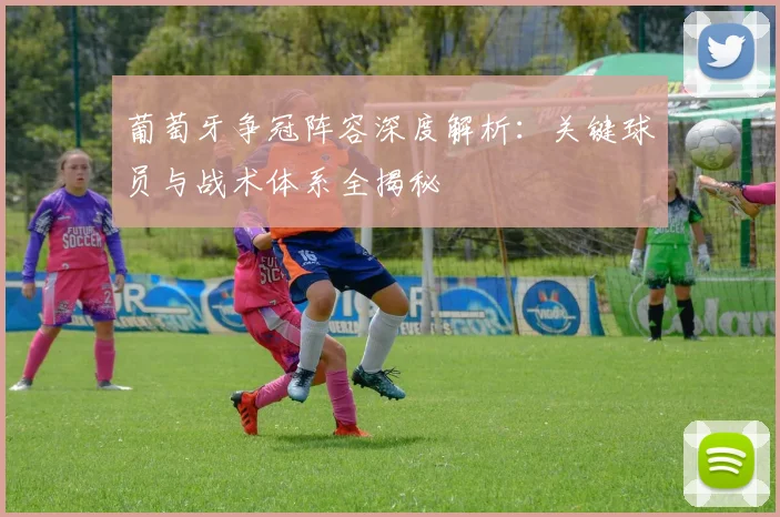 葡萄牙争冠阵容深度解析：关键球员与战术体系全揭秘