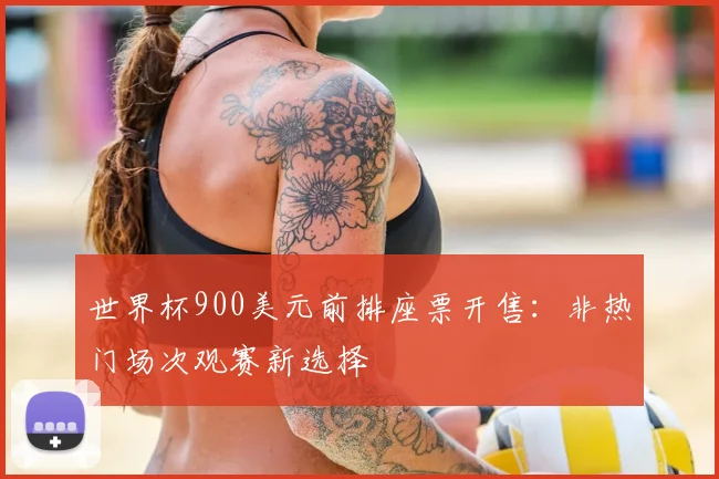 世界杯900美元前排座票开售：非热门场次观赛新选择