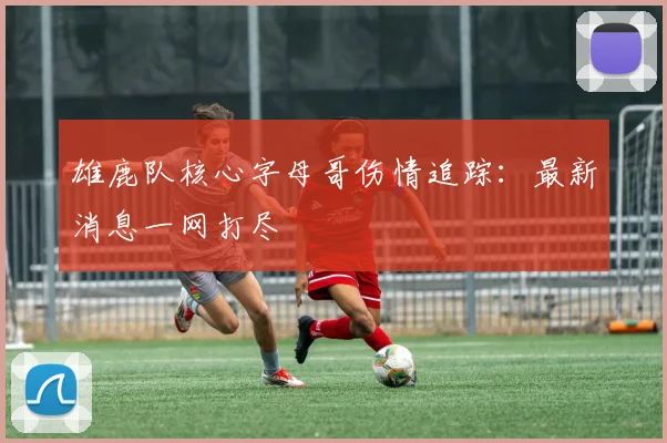 雄鹿队核心字母哥伤情追踪：最新消息一网打尽