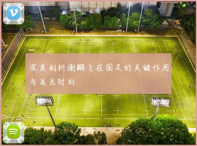 深度剖析谢鹏飞在国足的关键作用与高光时刻